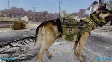 fallout new vegas dog companion